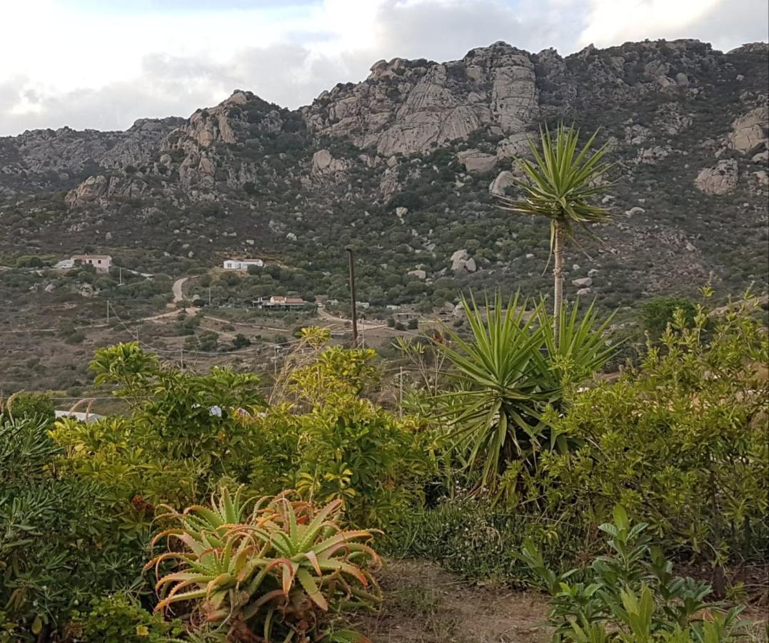 Villetta Osseddu Olbia Buitenkant foto