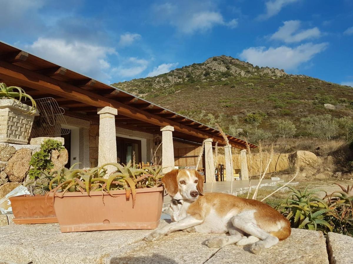 Villetta Osseddu Olbia Buitenkant foto